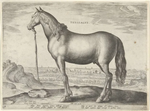 Thessalian-Horse
