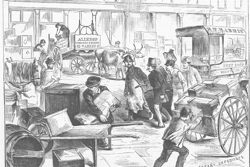 Epidemia gripa cabalina