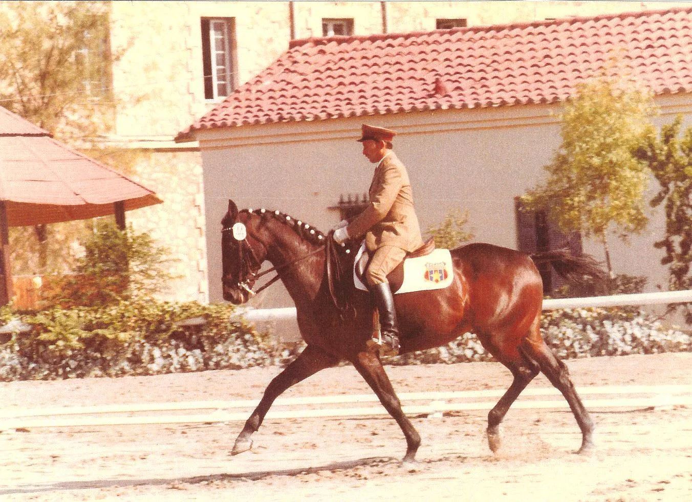 Balcaniada de la Atena 1978 - Triumf