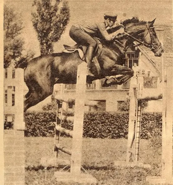 Dumitru Velea