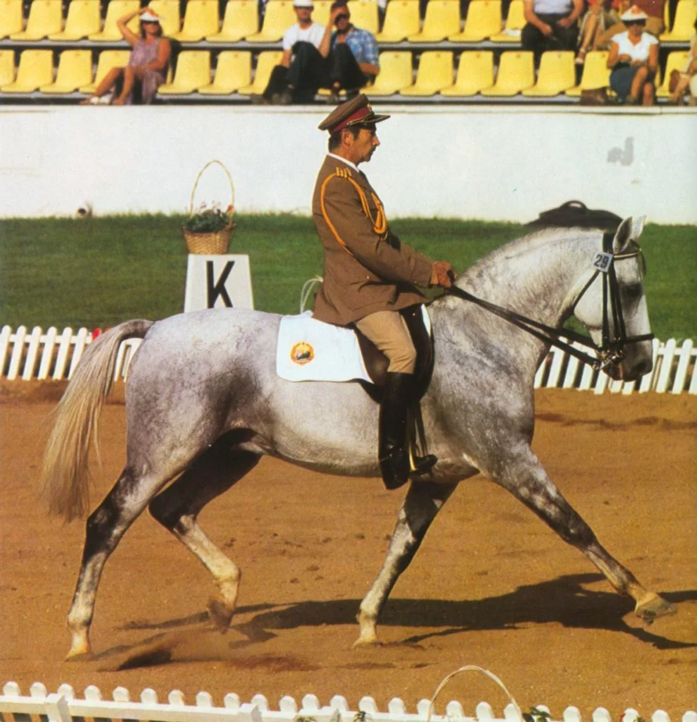 Dumitru_Velicu