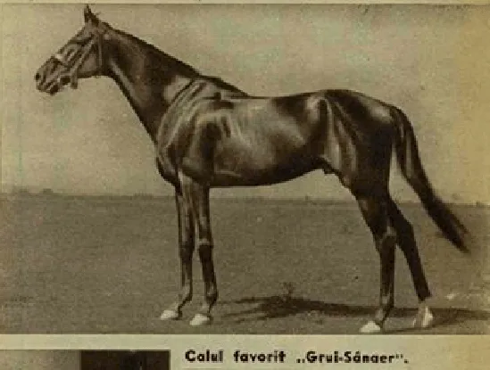 Grui Sânger