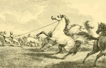 Cai Moldovenesti