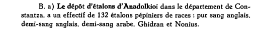 Anadolkioi depozit
