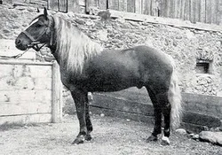 1074 Student 1927