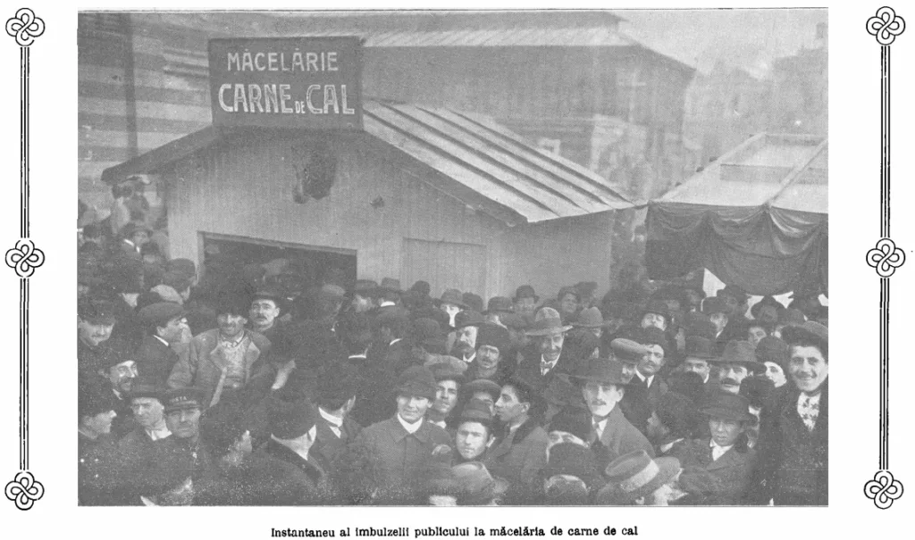 Carne de cal in Bucuresti 1912