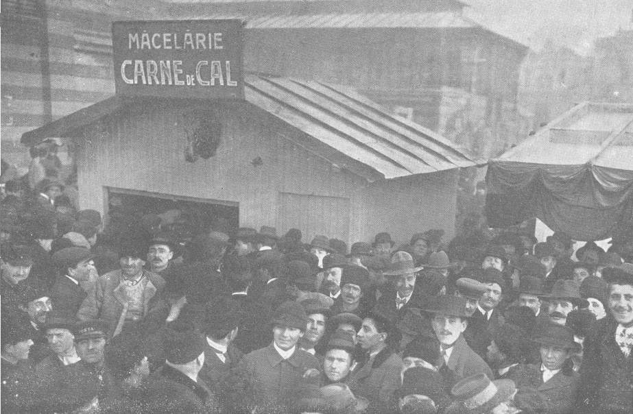 Carne de cal in Bucuresti 1912