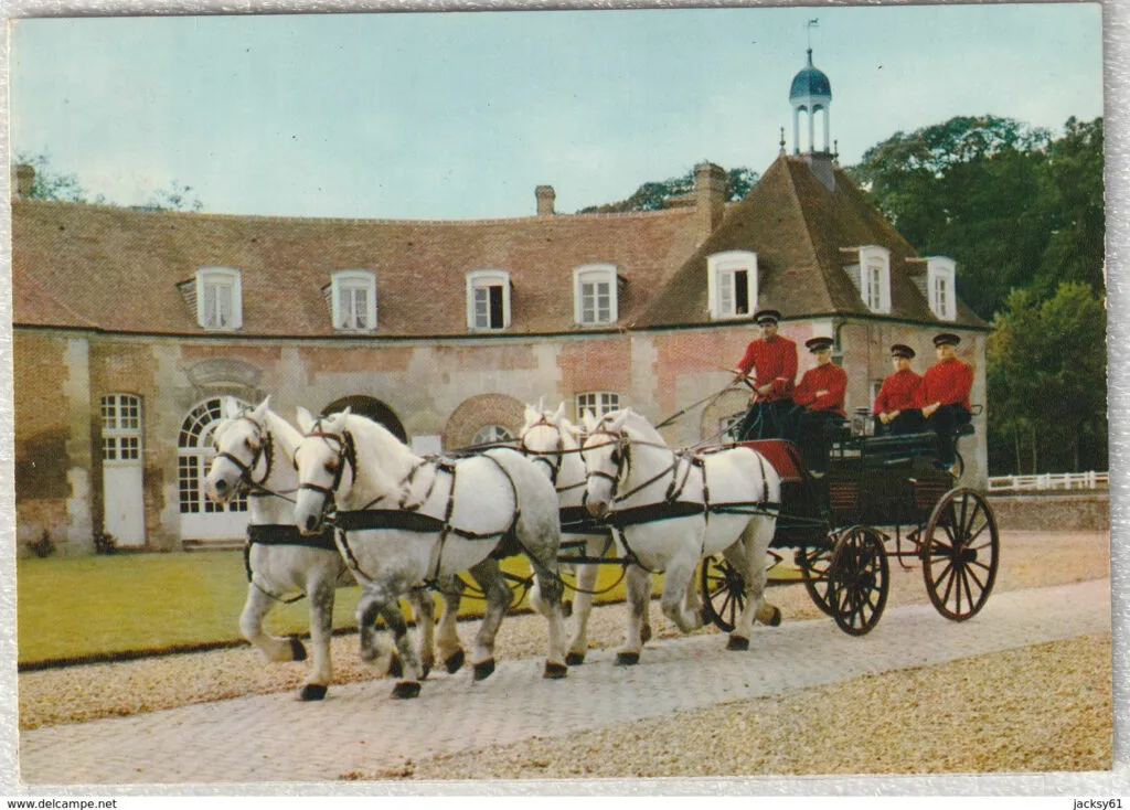 Percheron