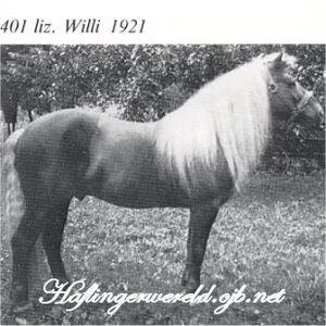 Willi