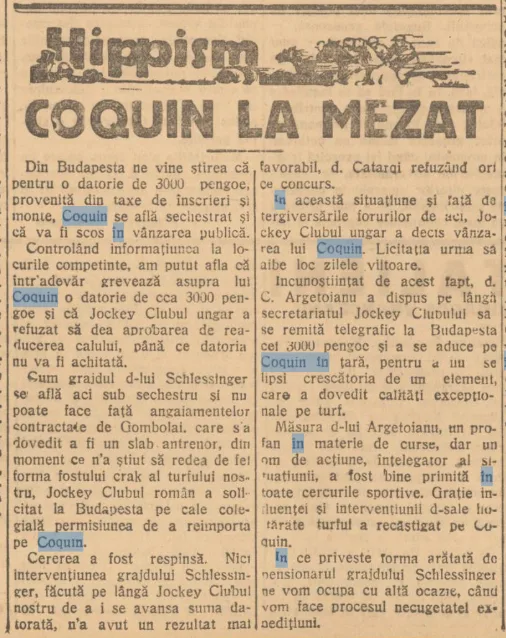 Problemele financiare COQUIN