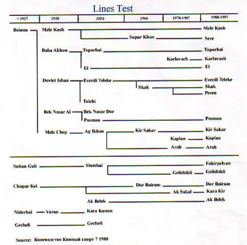 Liniile rasei Akhal-Teke