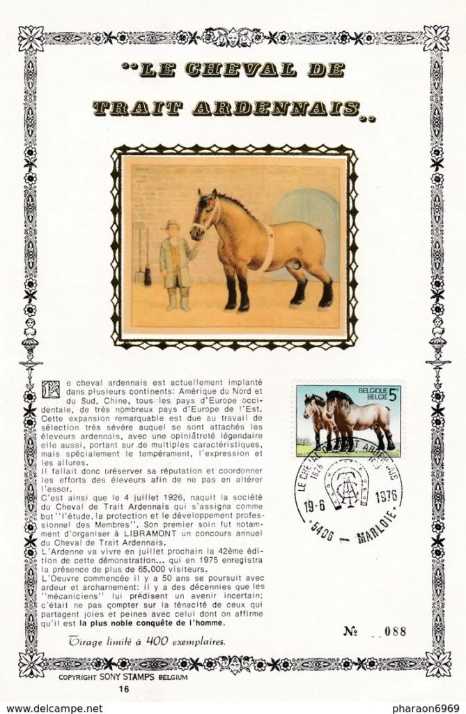 Societate Ardenez