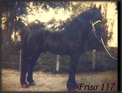 Frizian