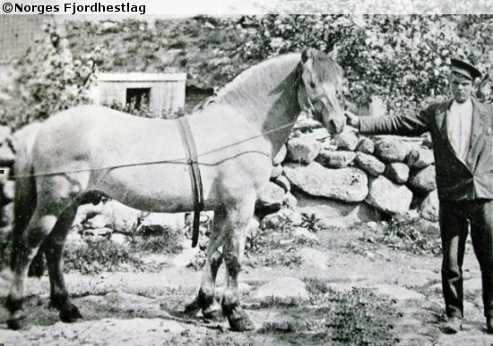 Njål 166