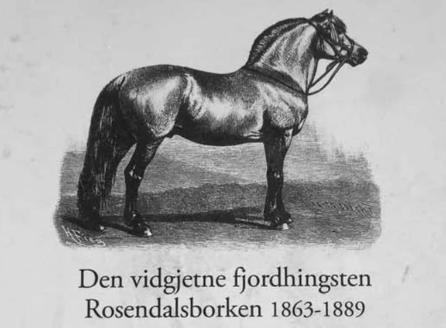 Rosendalsborken