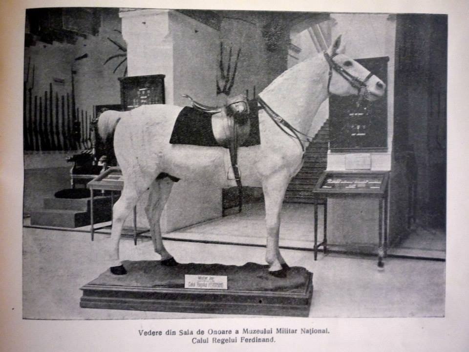 Calul regelui Ferdinand Victor Dogaru Muzeul National