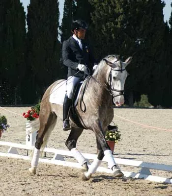 cal lusitano