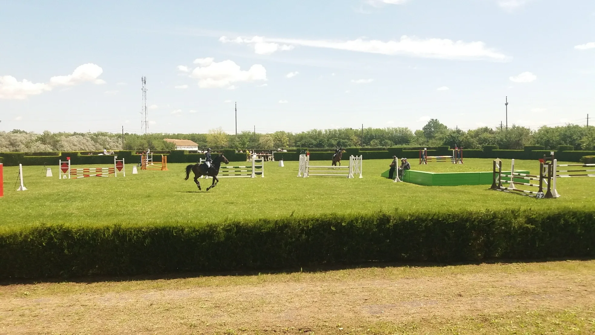 Cupa Calului de Sport Românesc