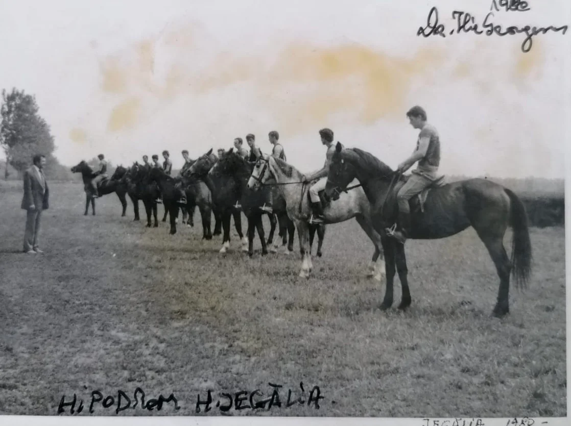 Ilie Georgescu - Herghelia Jegalia