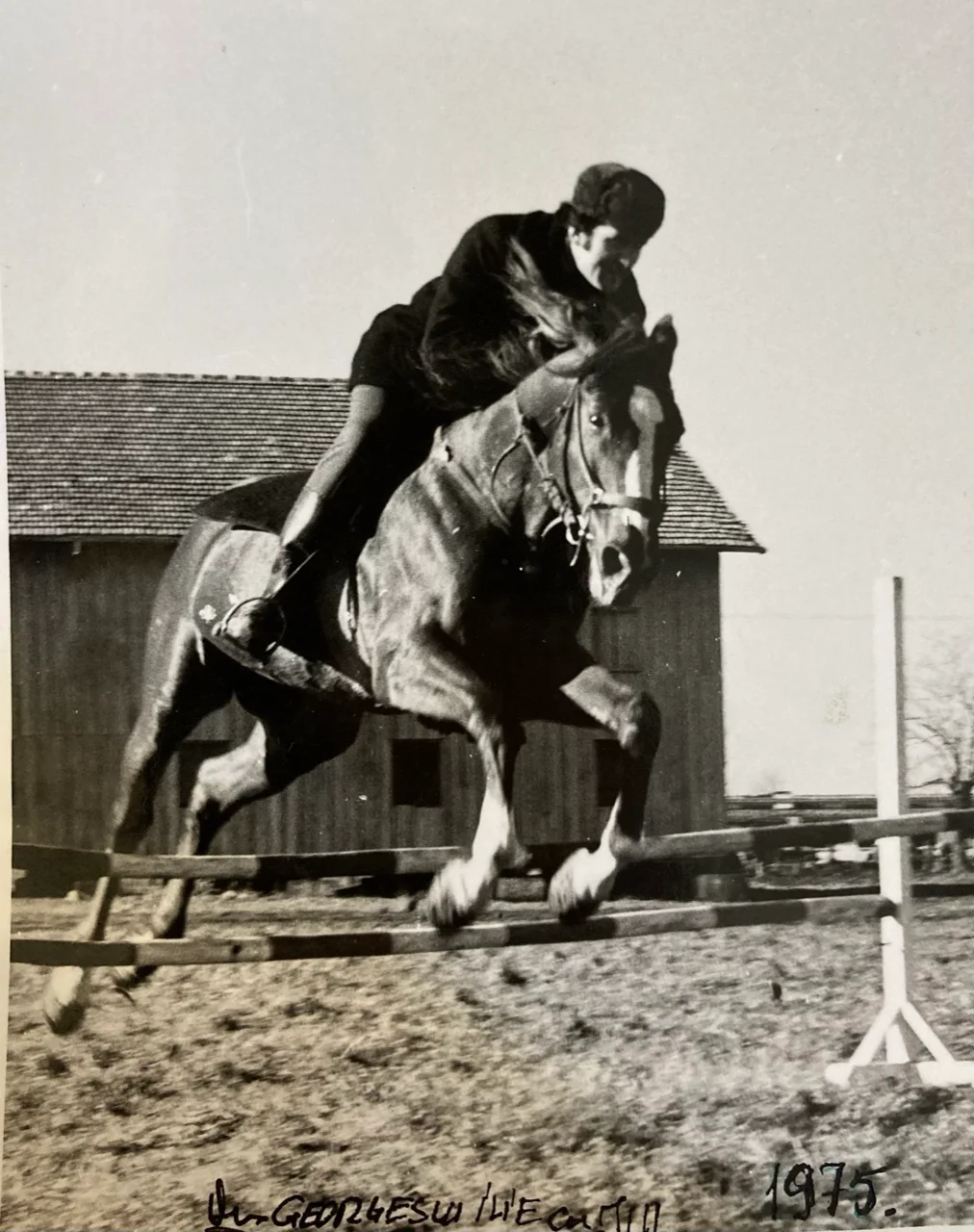 Ilie Georgescu - antrenament cai