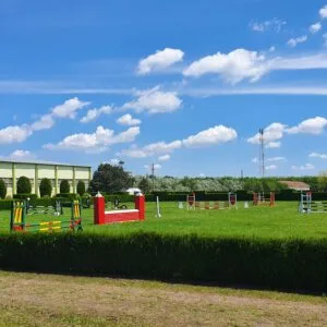 Cupa Calului de Sport Românesc