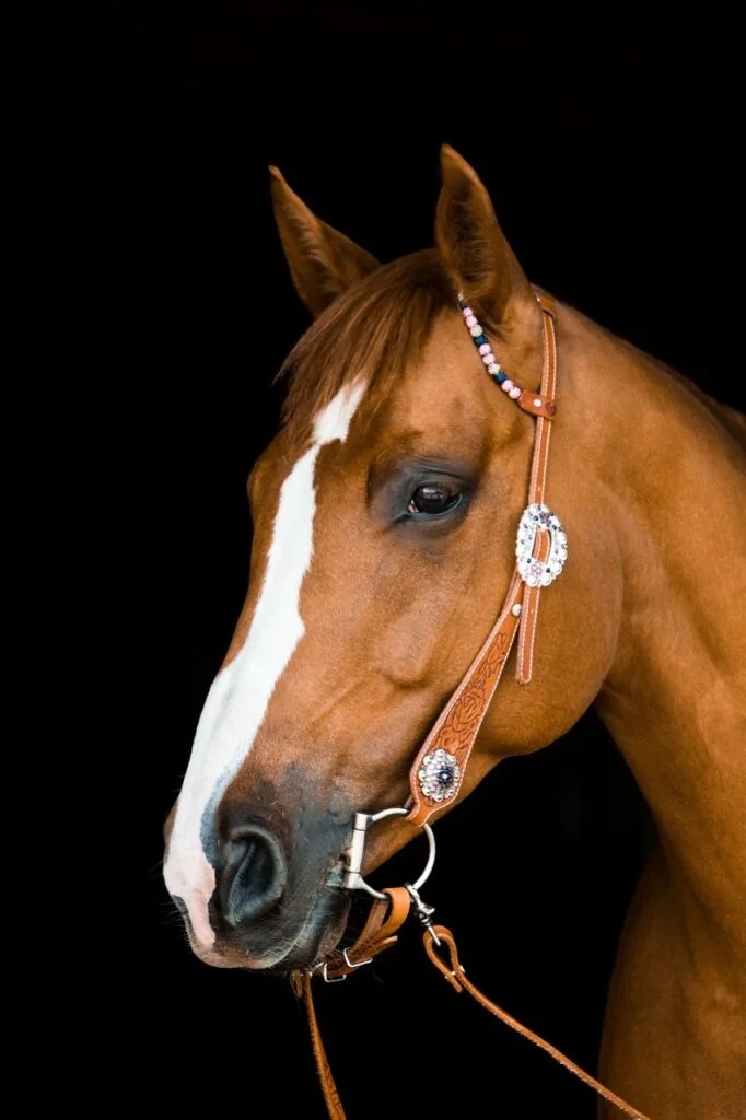 Frâu western