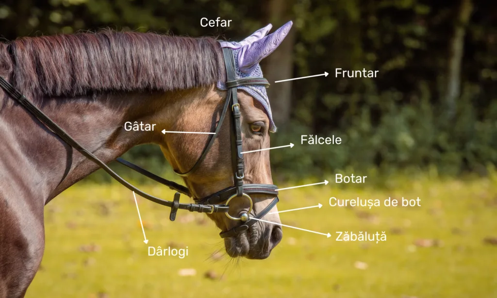 Frâul calului