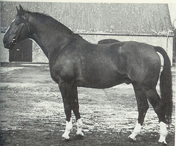 Eindruck II