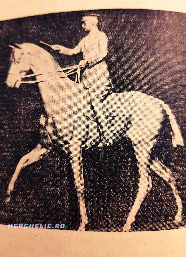 Statuieta Moruzi