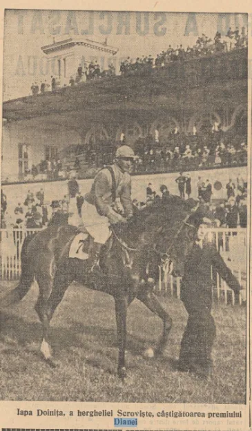 Ilinca premiul Dianei 1939 - Romania Provincie