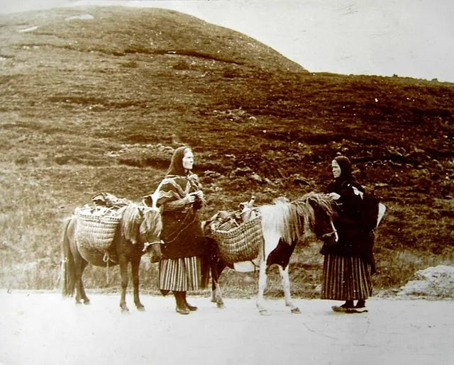 Shetland