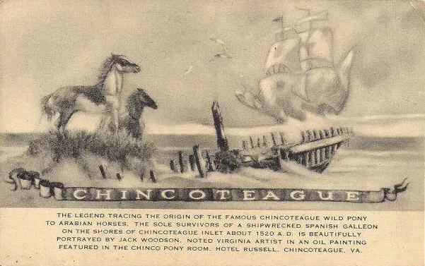 Rasa Chincoteague