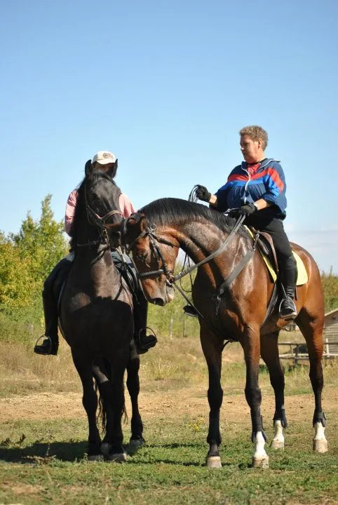 EQUESTER RIDING CLUB 2011