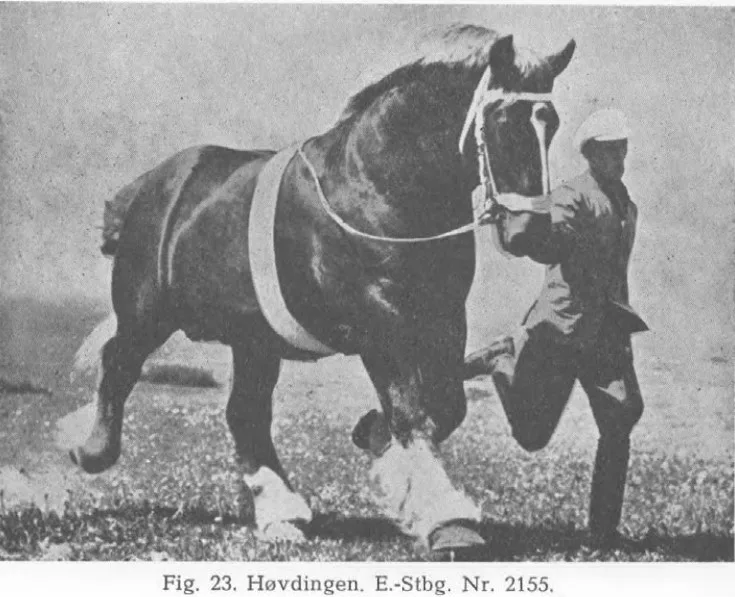 Hovding