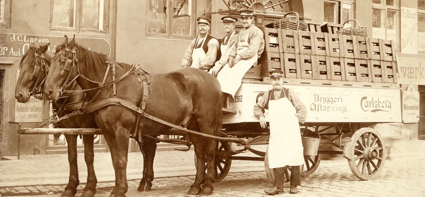 Jutland cai