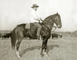 Ruy Andrade - Sorraia
