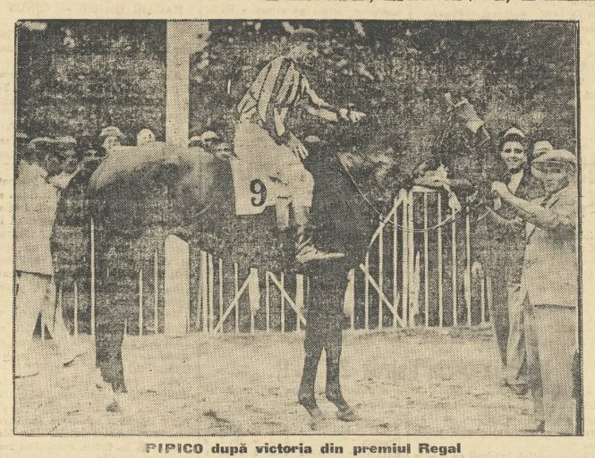 Pipico Csillag M Premiul REgal iunie 1935