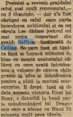 Saftica Csillag 1923