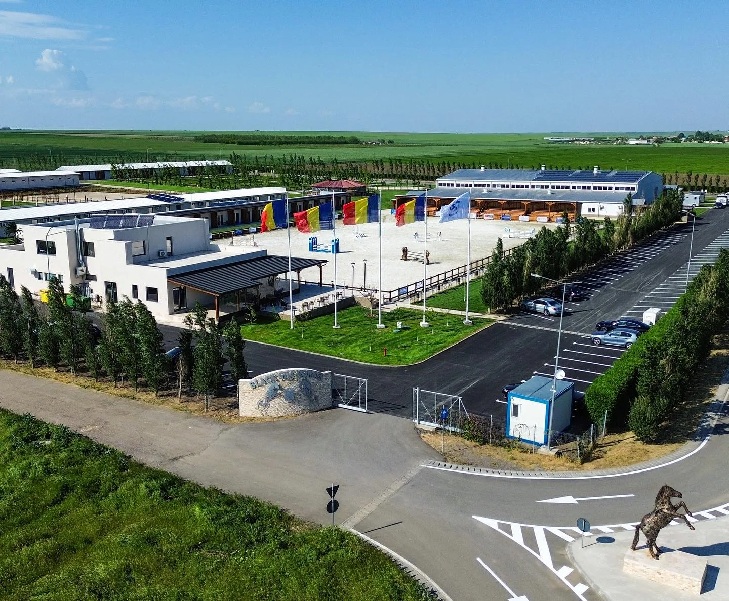Black Sea Horses