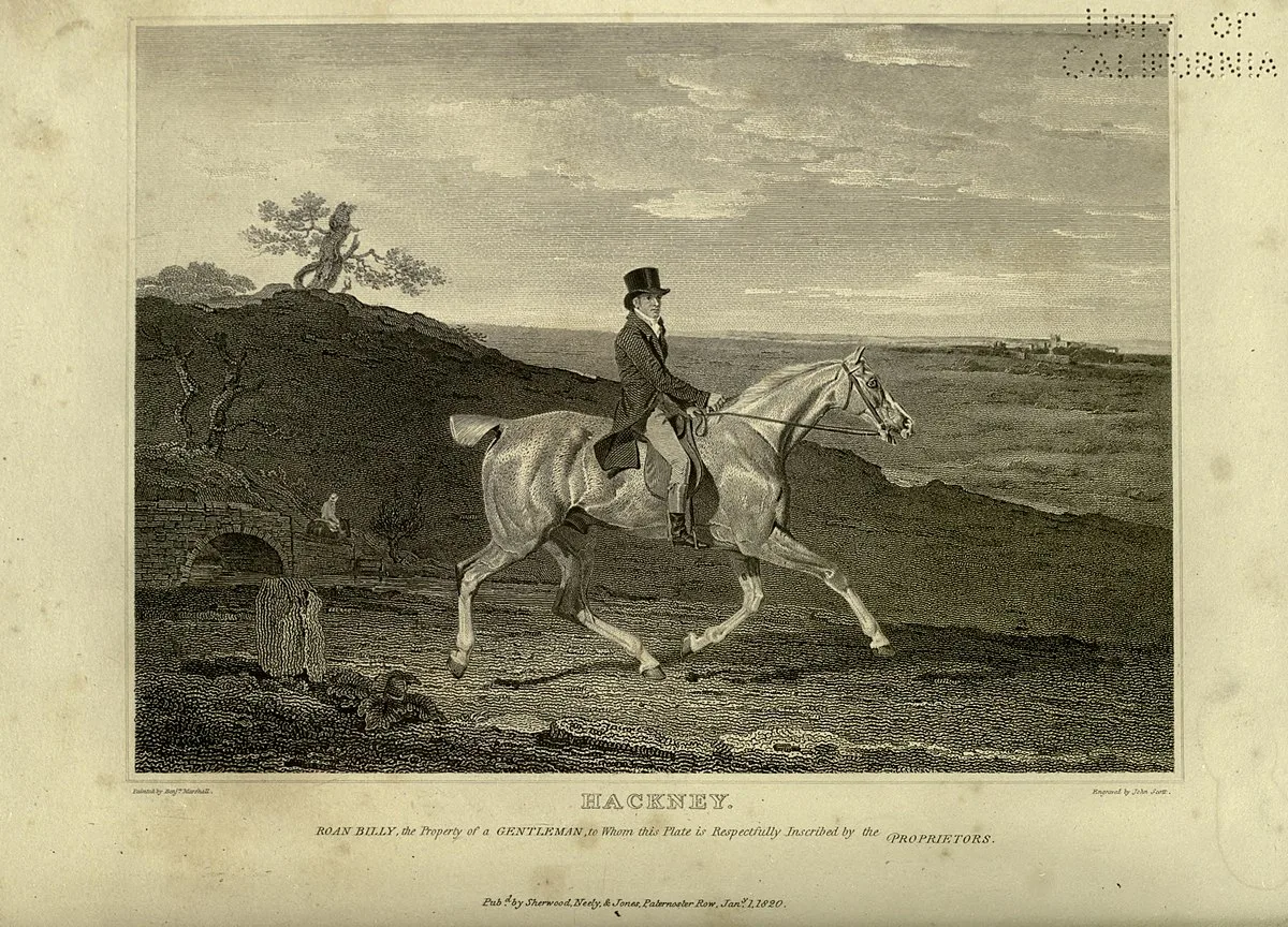 Hackney Horse