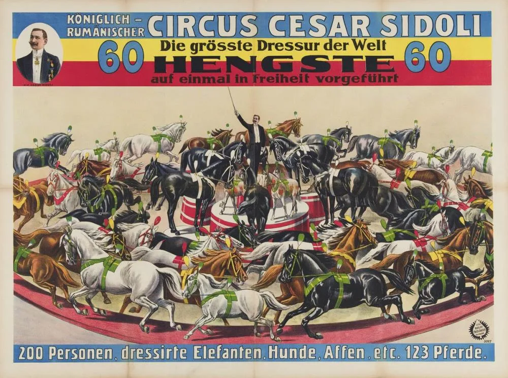 Dresura Circul SIdoli