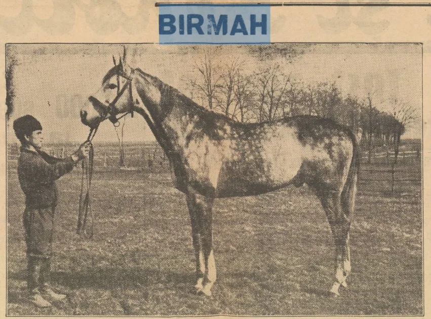 Birmah cal sur Moruzi