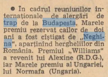Budapesta 1966 Neghina
