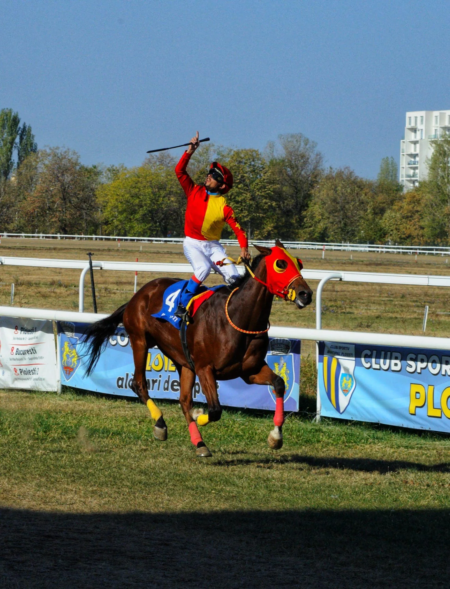 Curse galop, premiul Marghiloman 2023