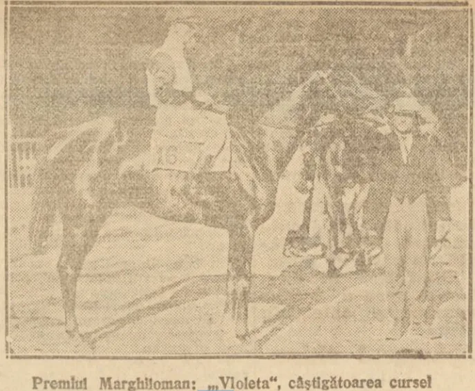 Premiul Marghiloman, Violeta 1926