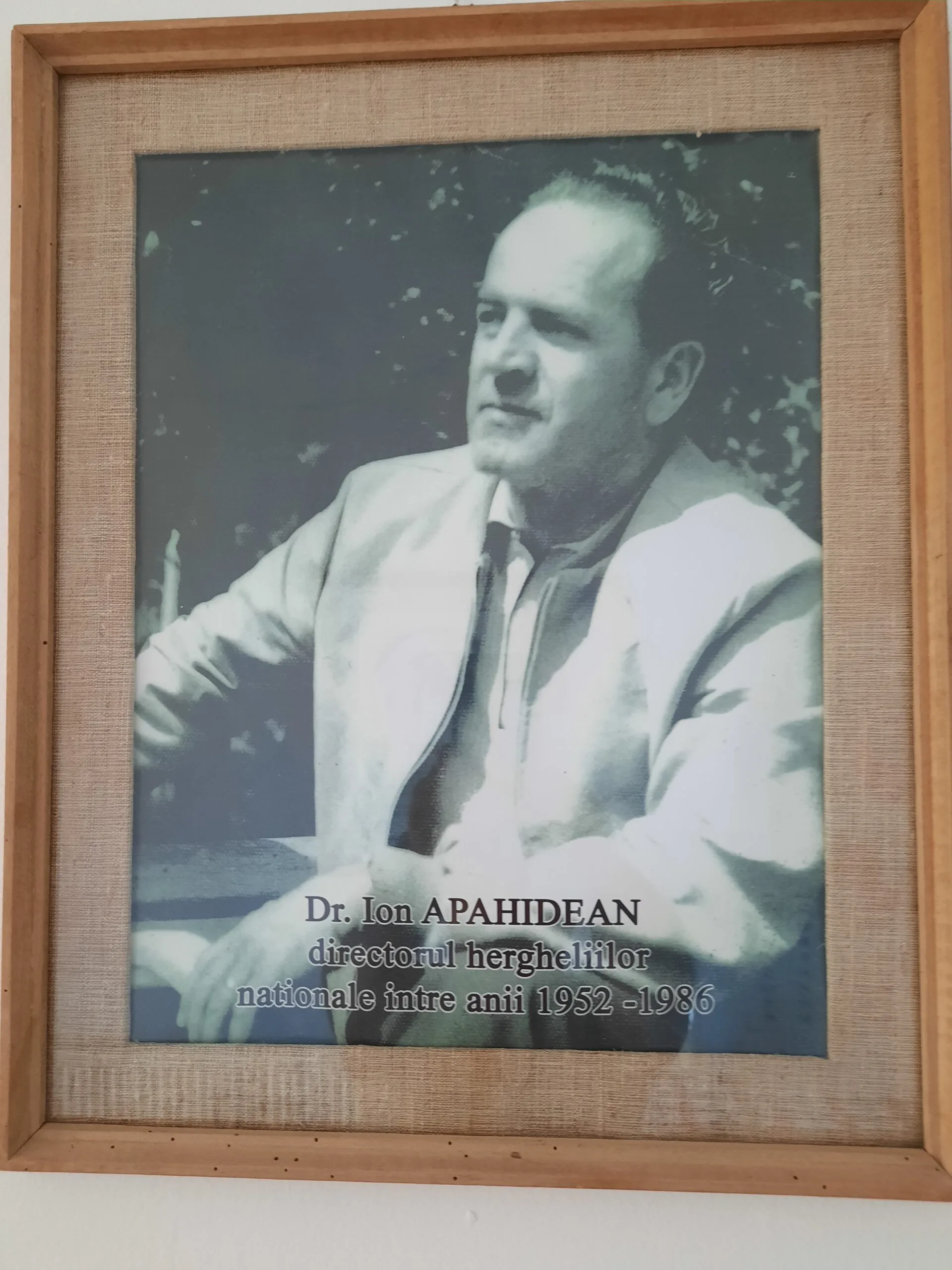 Ioan Apahidean la Herghelia Mangalia