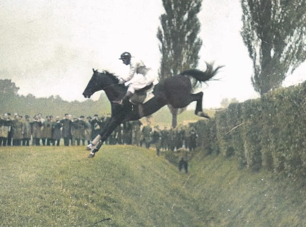 Petrica Pardubice (1)