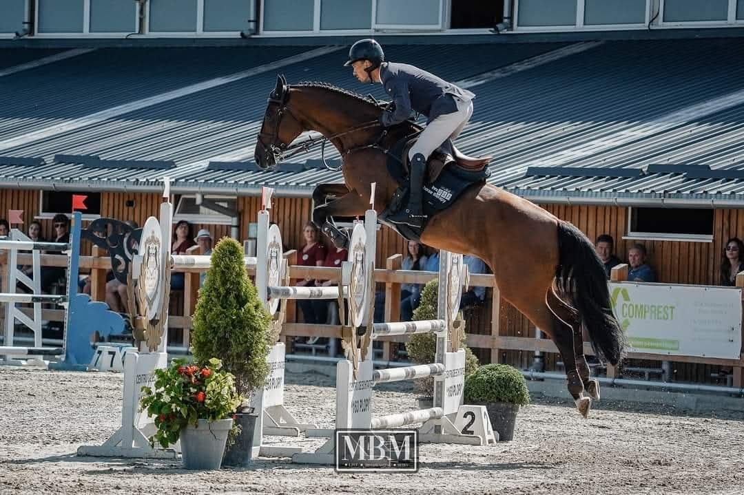 ACS Innovation Horse Therapy competitii