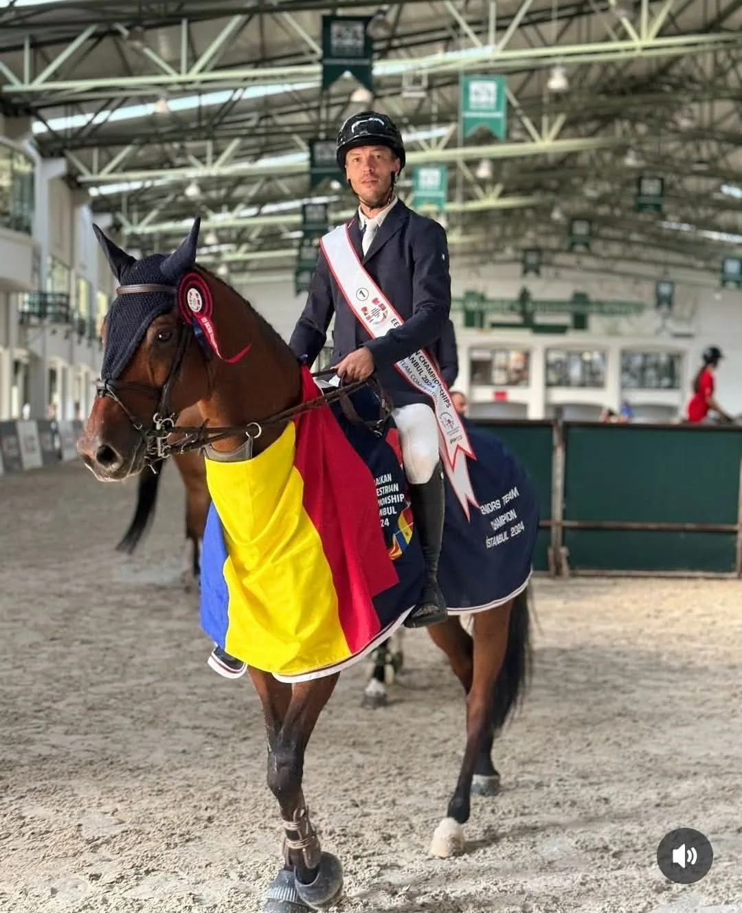 Istanbul 2024 ACS Innovation Horse Therapy