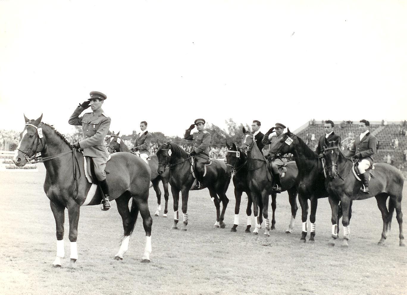 Echipa hipica Dresda 1959